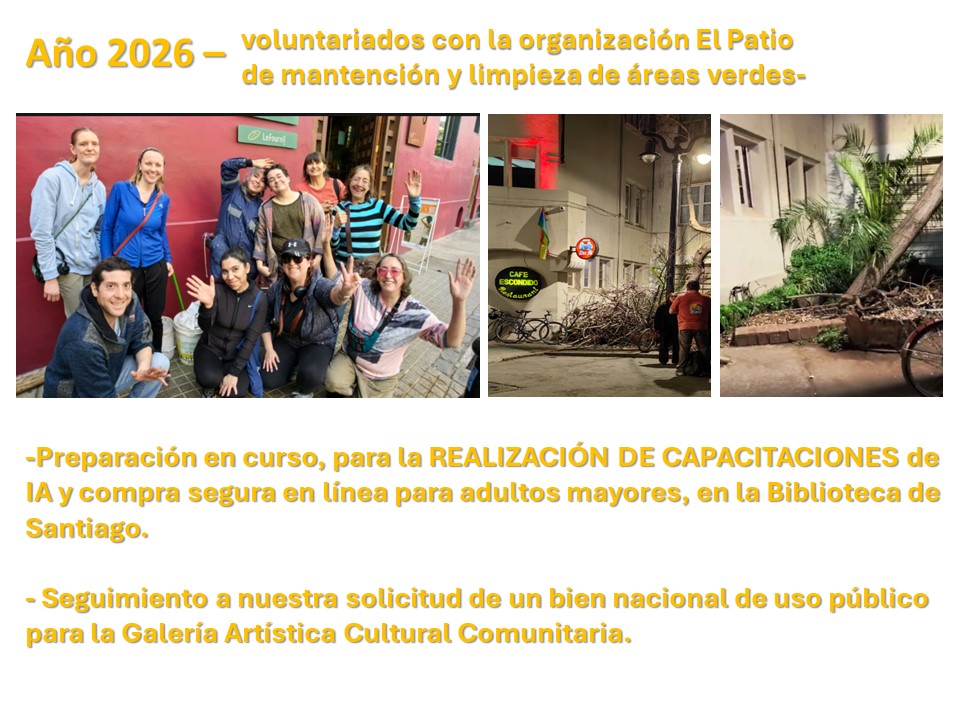 Diapositiva 11 - ONG Enlace